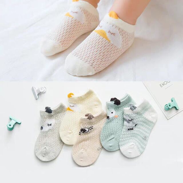 Sét 5 Đôi Tất Lưới Cổ Thấp KidS Socks