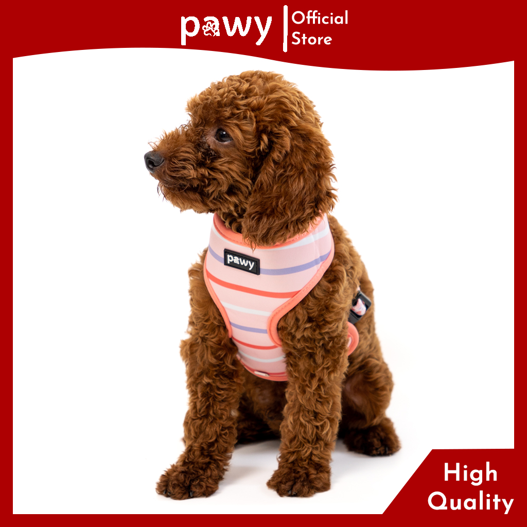 Yếm Dắt Chó Pawy 2 Mặt - Blooming Dalat - Dog Reversible Harness