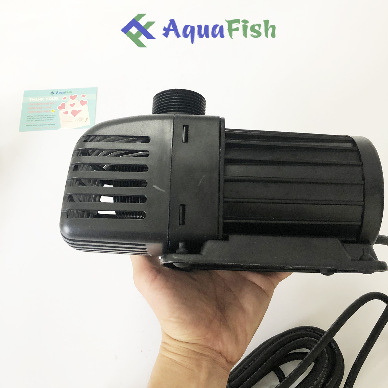 Máy Bơm Chìm Hồ Cá Koi Jebao TM 3500 - 10000 (máy bơm nước hồ cá Koi chuyên dụng)