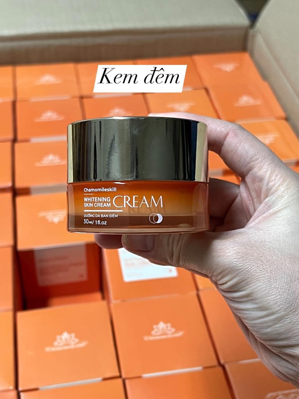 [New Model] Genuine Chamomileskill Night Cream