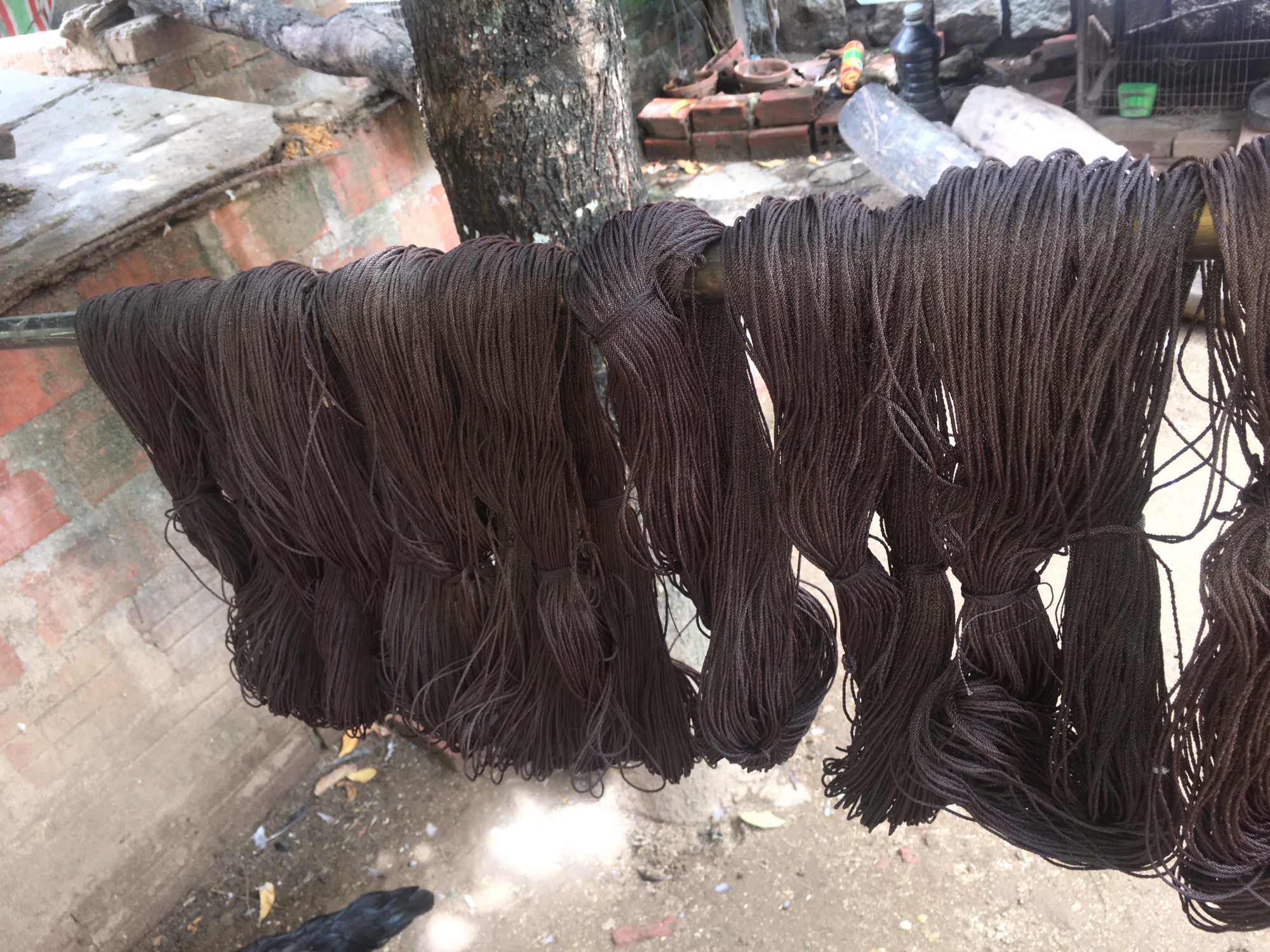 Dây liên kết giò gà màu cỏ khô