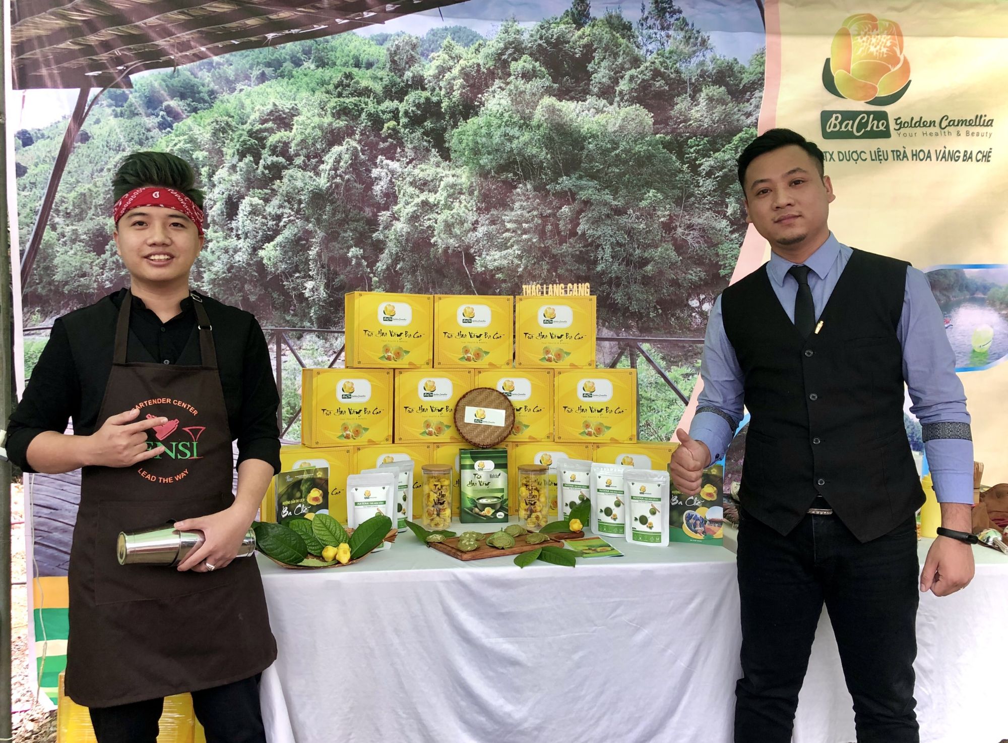 Hoa Trà hoa vàng Ba Chẽ