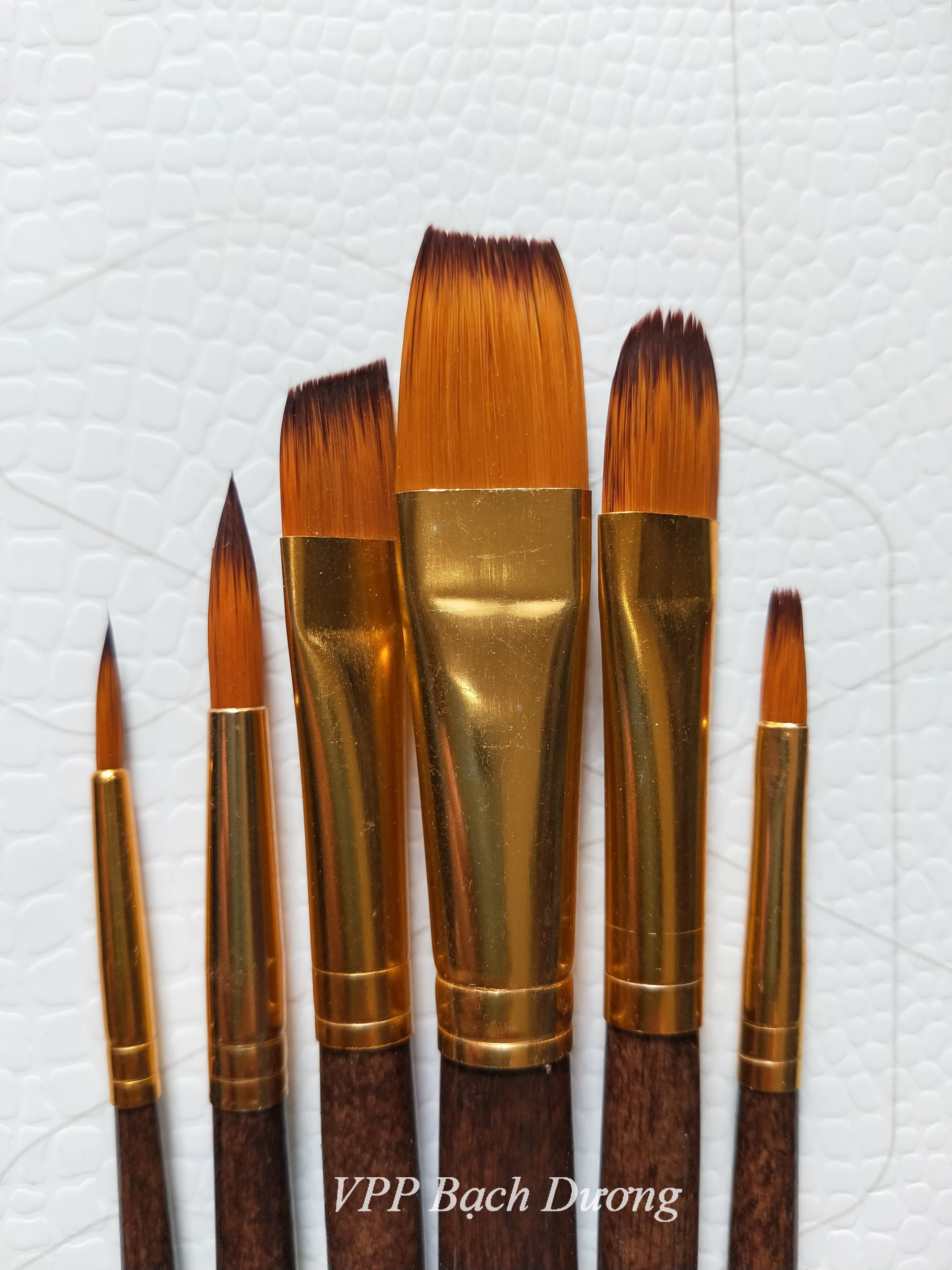 Cọ 6 cây đủ loại - 606m- vĩ