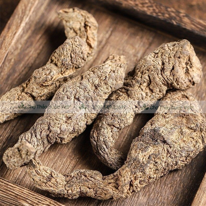Sinh địa khô 500g, củ sanh địa to, khô, sạch - Chợ Thảo Dược Việt