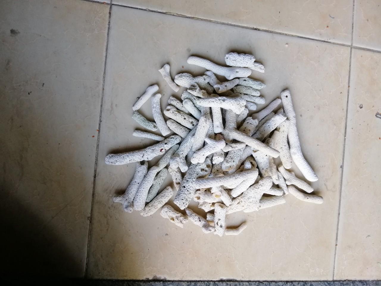 5kg San hô lọc nước bể cá