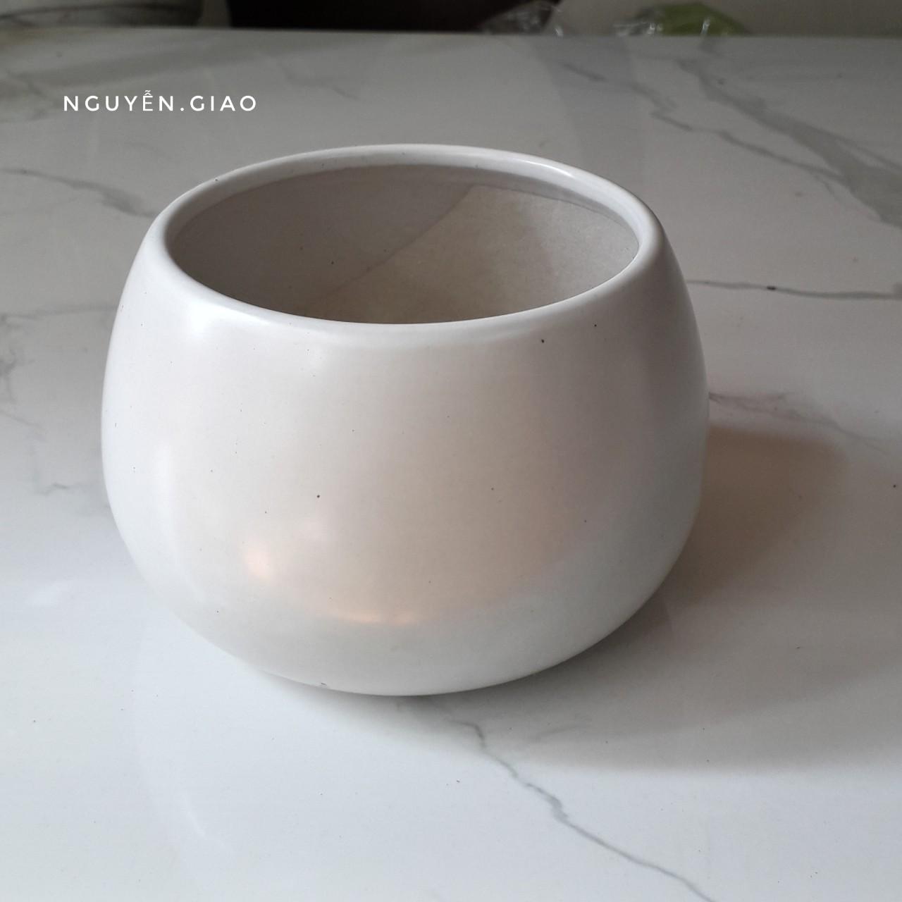 Chậu Trồng Cây Hạt Dẻ 8 x 9,5cm