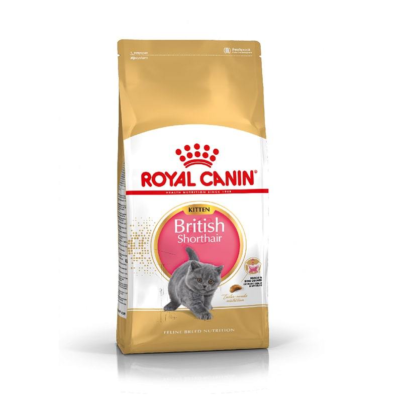 Thức Ăn Cho Mèo Con Giống Anh Lông Ngắn Royal Canin British Shorthair Kitten Túi 2Kg