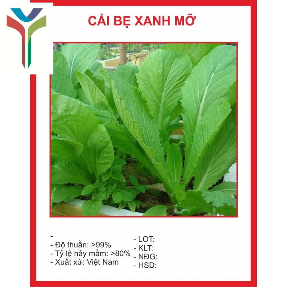 Hạt giống cải bẹ xanh mỡ 20gr 4000 hạt