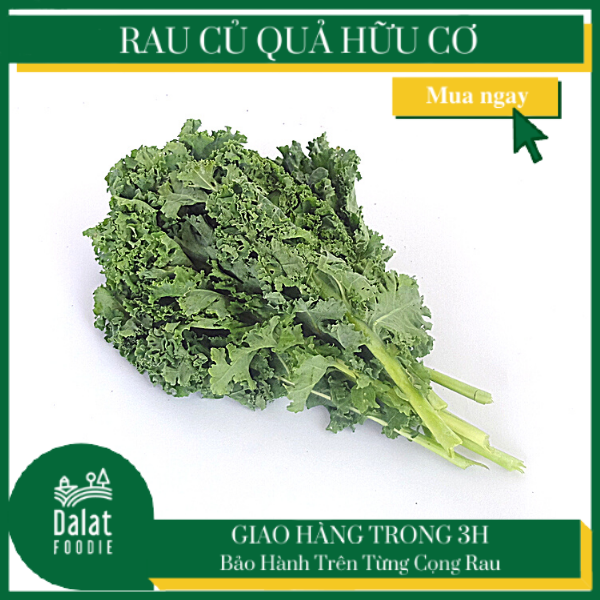 Cải Xoăn Kale hữu cơ 250G - [Giao hàng ngay tại TPHCM, Hà Nội]