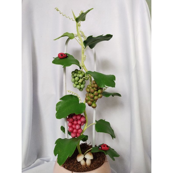 Chậu nho đất sét cao 42cm