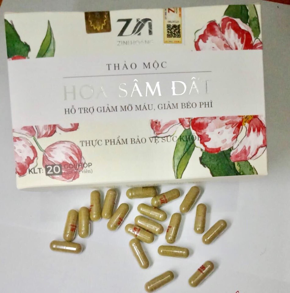 [HCM]Trà Hoa Sâm Đất (Giảm Cân Loại Bỏ Mỡ Máu)- liệu trình 1 hộp 20 ngày