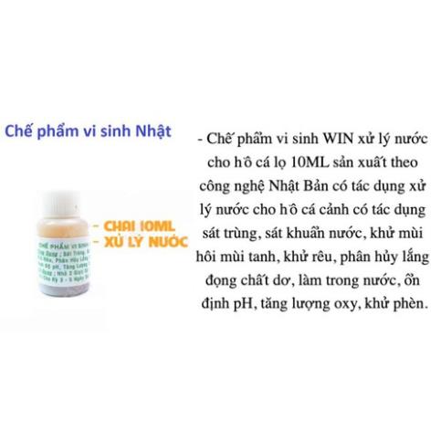 Chế phẩm vi sinh Win công nghệ Nhật Bản 10ml