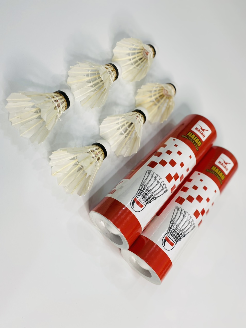 CẦU HẢI ÂU - CẦU LÔNG HẢI ÂU CHÍNH HÃNG  CAO CẤP - Hộp 6 quả & Hộp 12 quả [HANGCHUAN365]