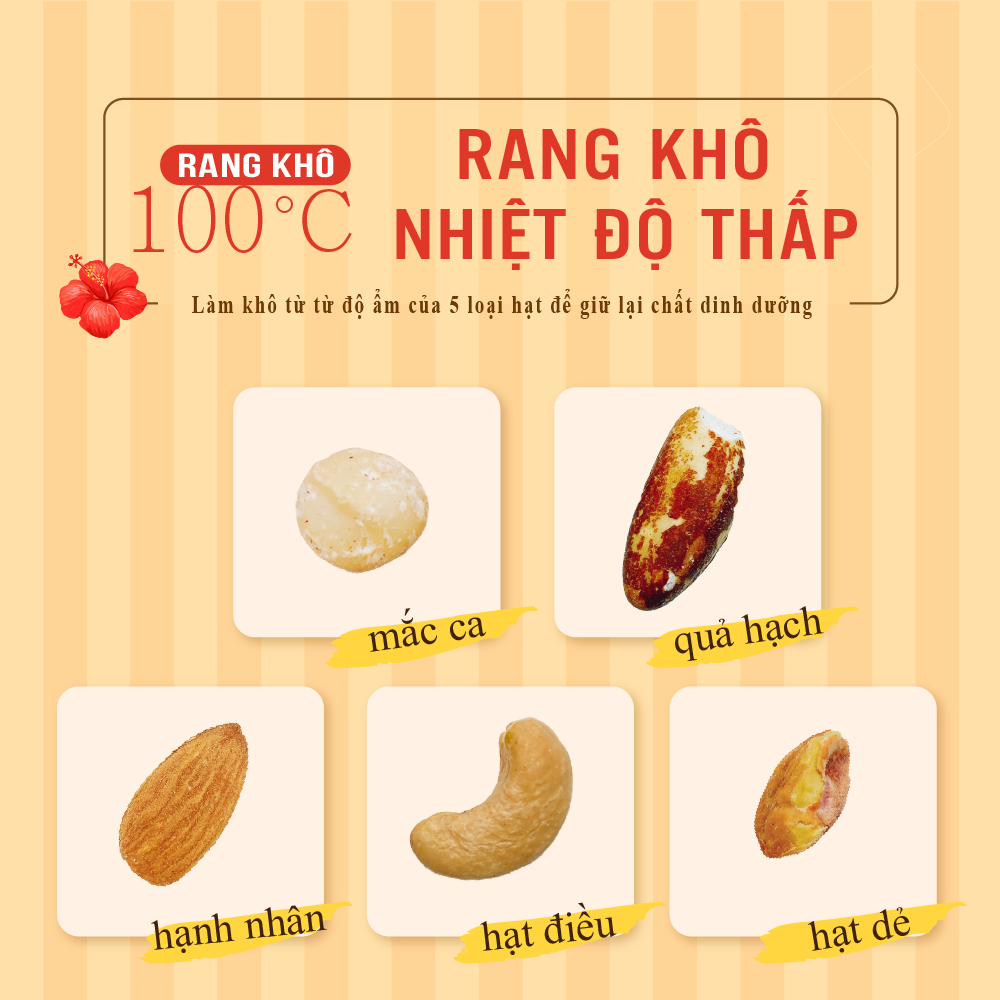 [Chính hãng] Thập cẩm hạt Premium 560g Dan D Pak