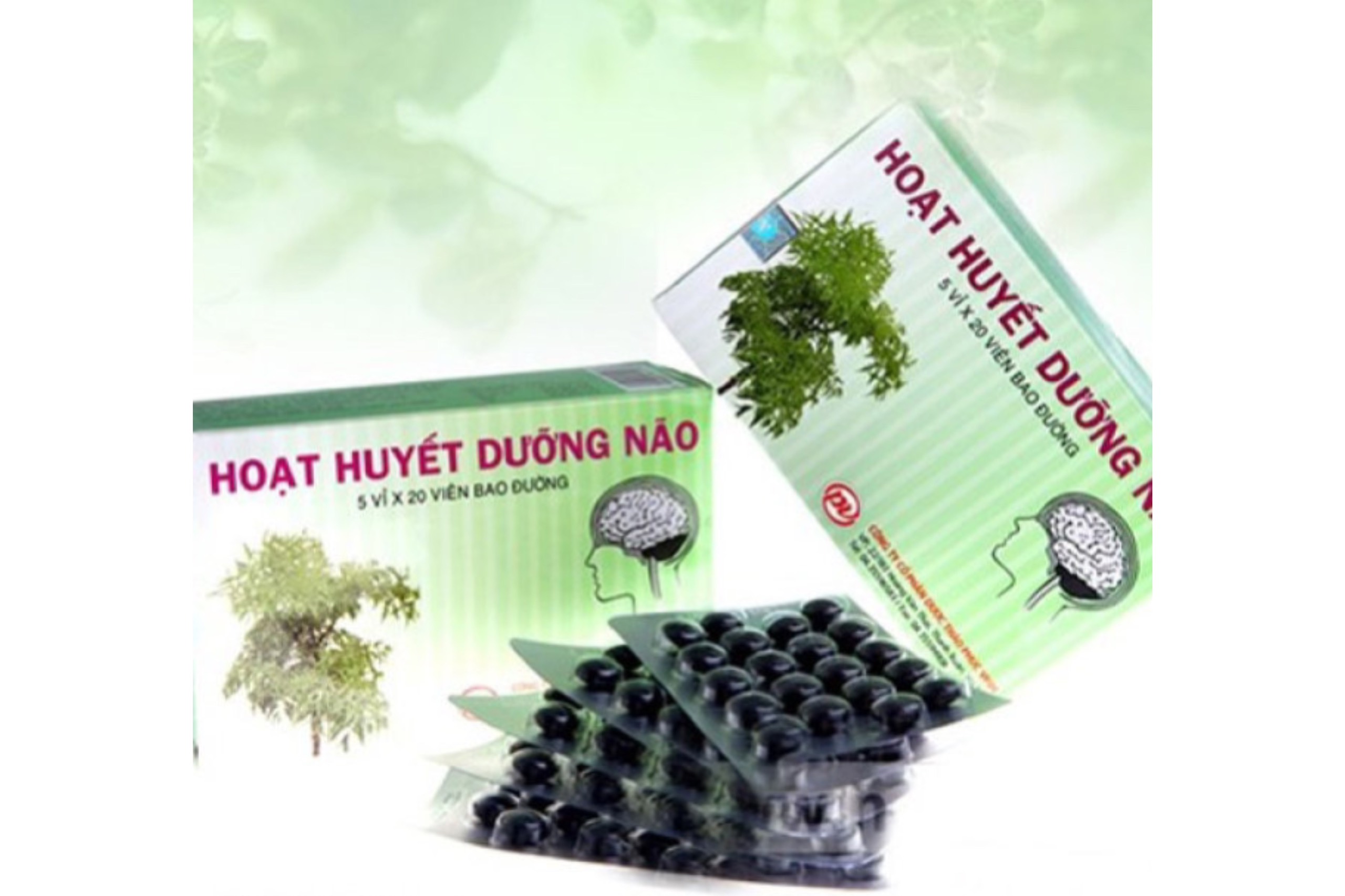 Phuc Vinh brain blood serum 100 box