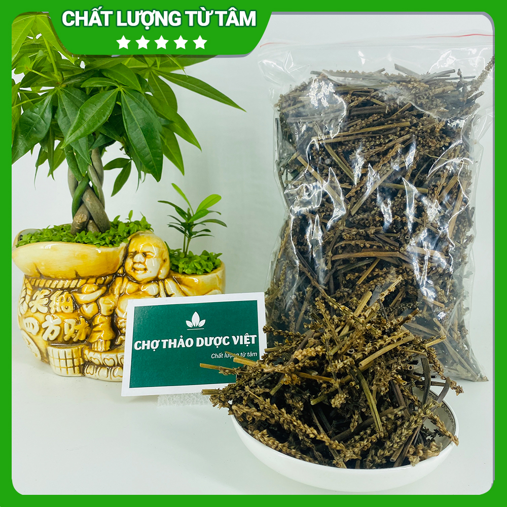Bông mã đề 1kg, cây mã đề lợi tiểu hỗ trợ tán sỏi thận, bí tiểu, giảm ho tiêu đờm, ổn định huyết áp
