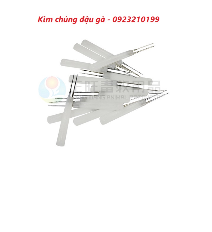 Kim chủng đậu gà 100 chiếc