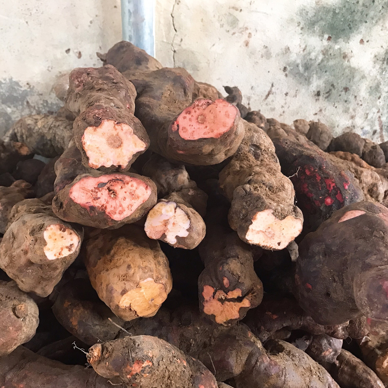 Hà Thủ Ô Đỏ (1kg) - DV011