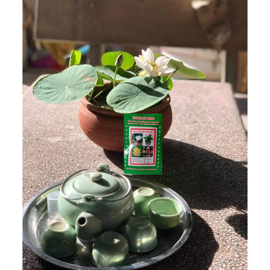 Bùn Khô Trồng Sen Mini Gói 500 Gram