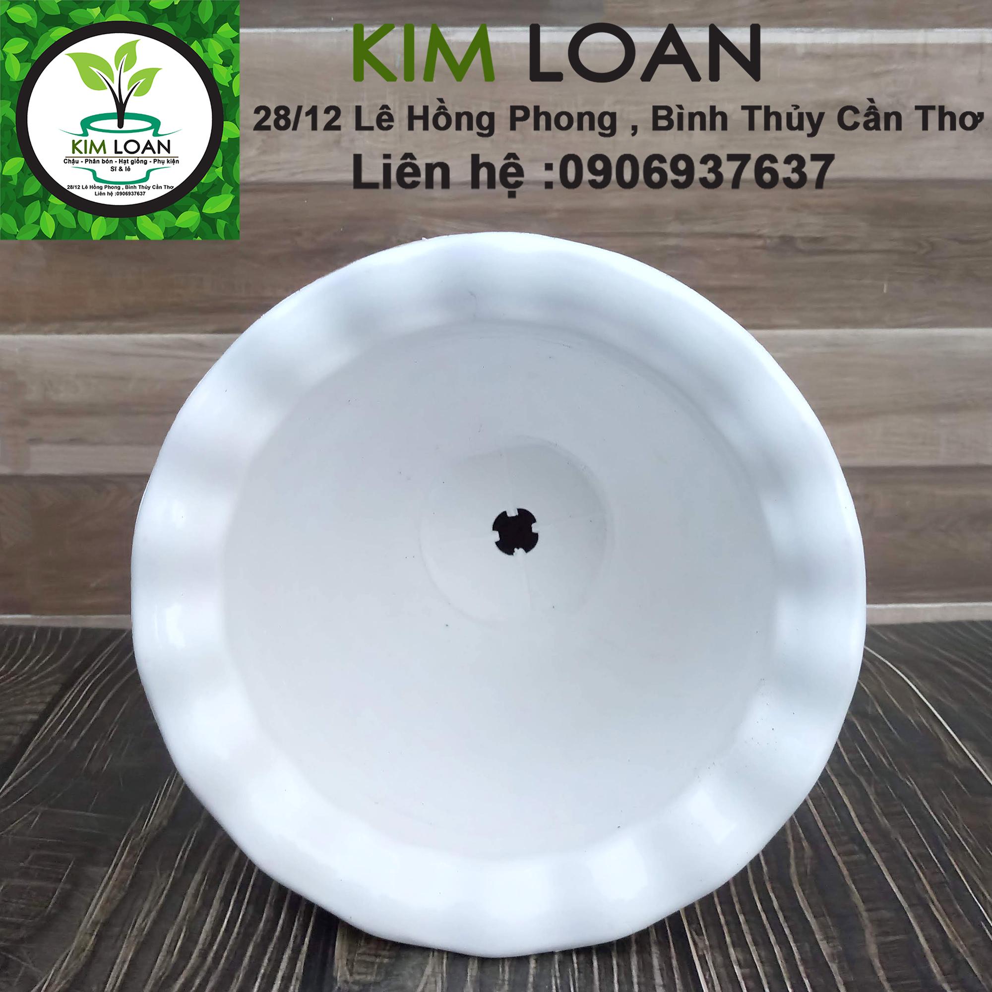 Chậu ly kem hoa văn cò bắt cá 18x23cm