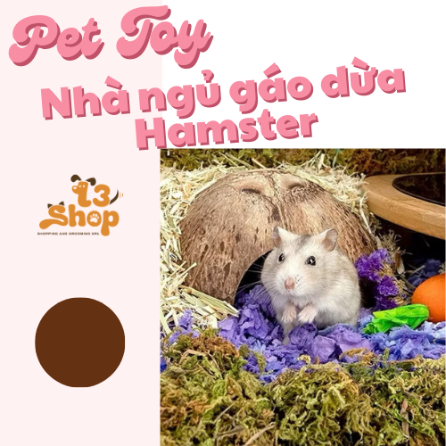 nhà gáo dừa cho hamster / chim / sóc / bò sát - T3 PETS SHOP