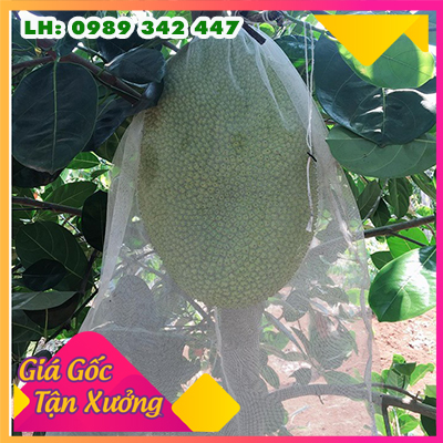 TÚI BỌC MÍT, SẦU RIÊNG 20 -50-100  TÚI CÓ DÂY RÚT 50X70CM VẢI KHÔNG DỆT CÀNG MUA CÀNG RẺ TÁI SỬ DỤNG ĐƯỢC NHIỀU LẦN