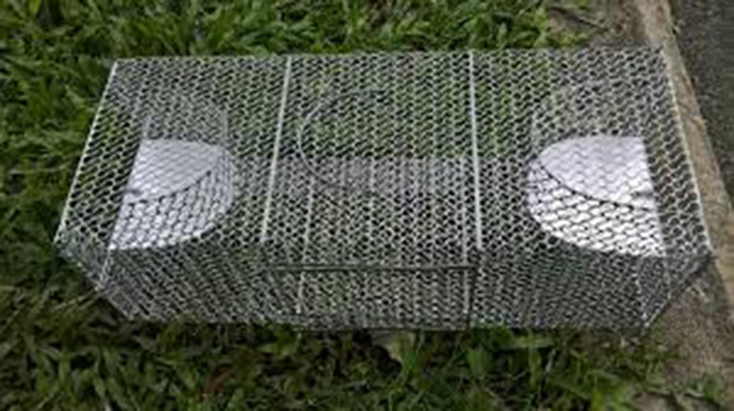 Bẫy Chuột Thông Minh Bẫy Cả Dòng Họ Chuột Mẫu Lớn 2 Cửa