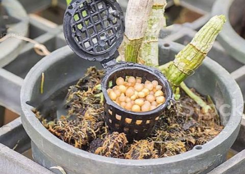 10 CÁI Rọ đựng phân tan chậm, cắm chậu, tiện lợi, tiết kiệm phân bón