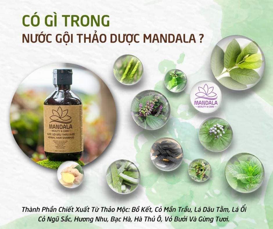 Nước gội thảo dược Mandala chai 300ml - 500ml
