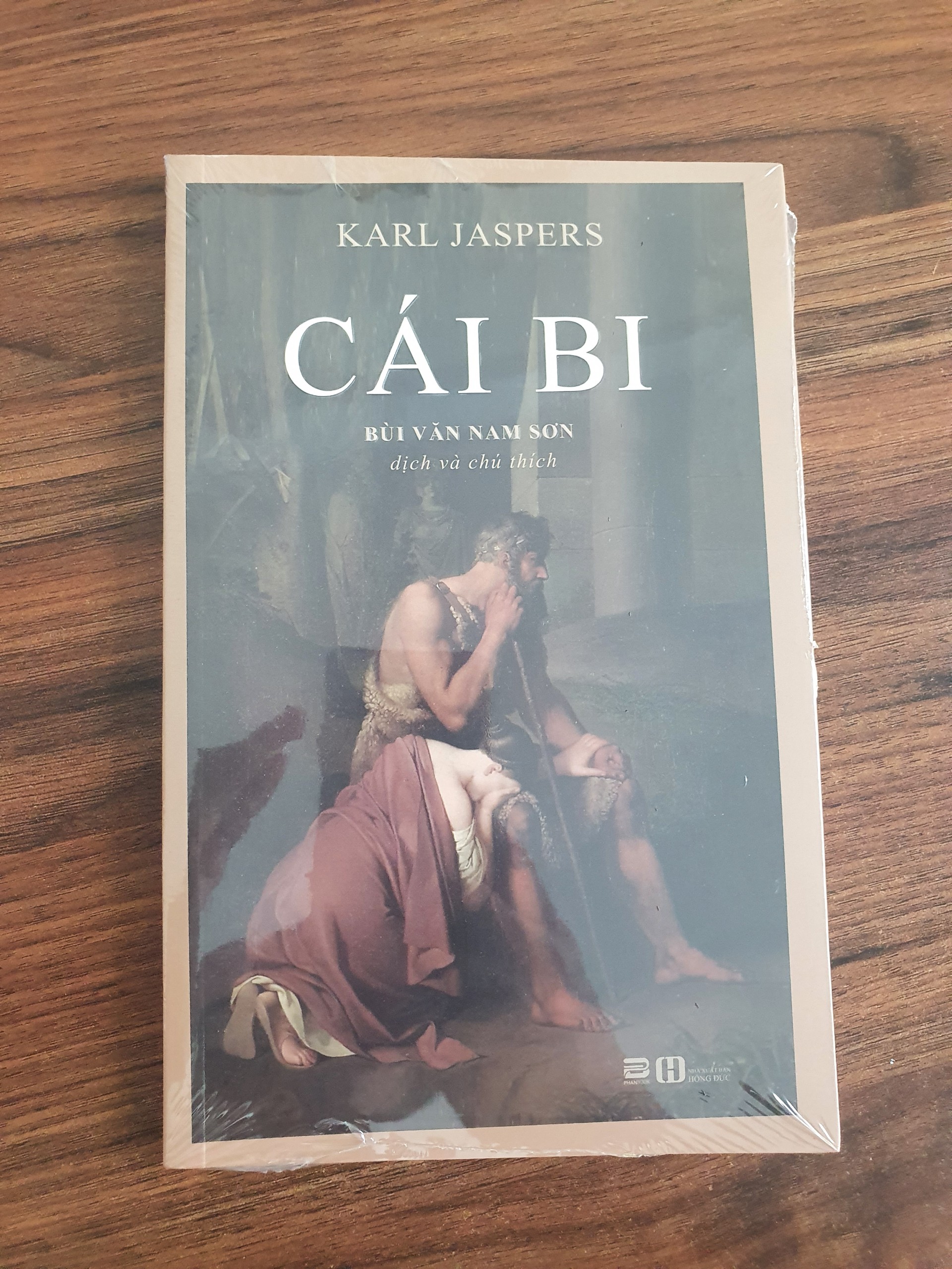 Sách - Cái Bi (Tiểu thuyết) - Karl Jaspers