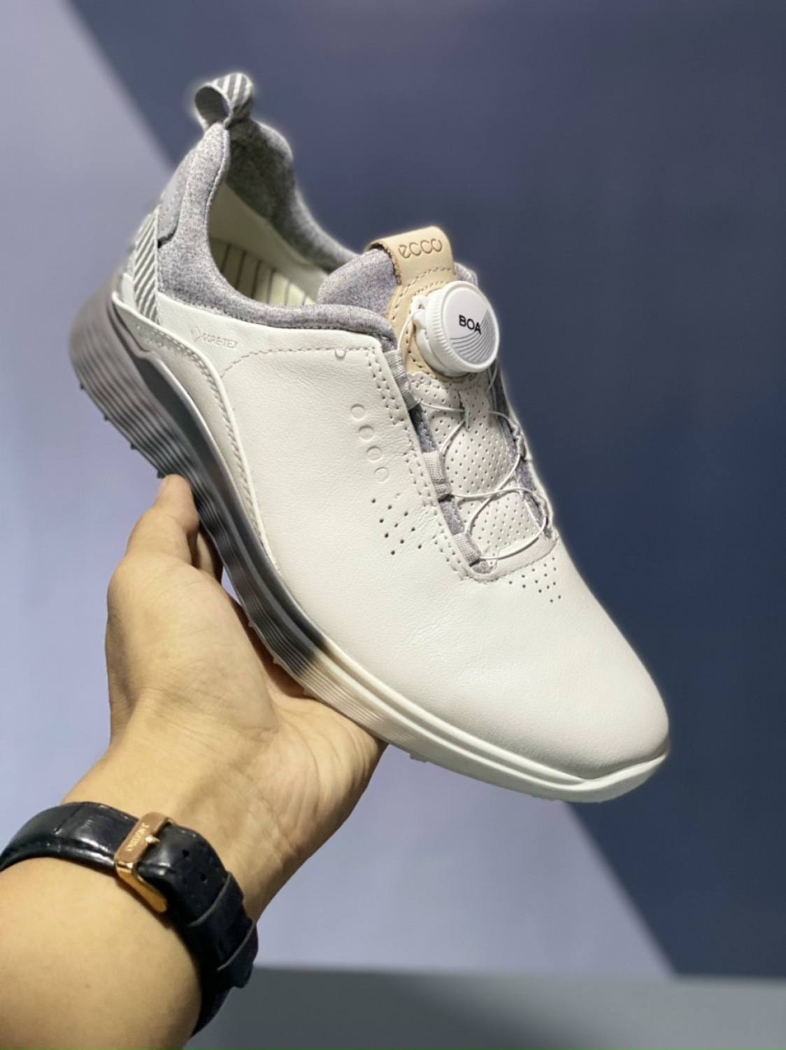 Giá hủy diệt FreeShip Chính hãng Giày Ecco Golf S-Three Boa