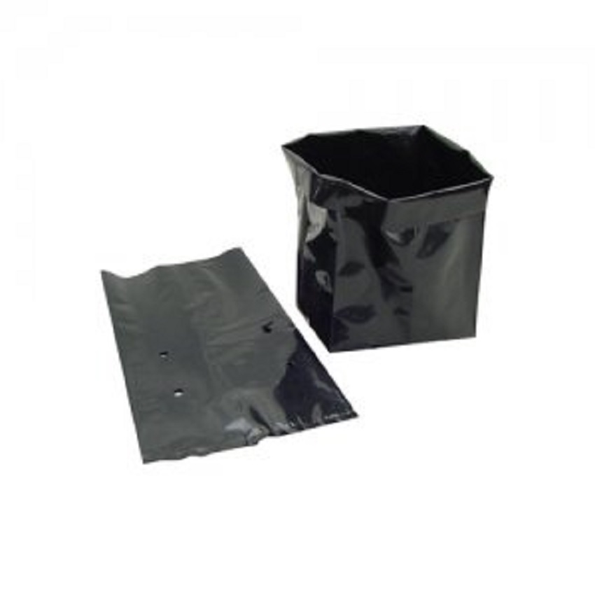 Túi bầu ươm cây giống 16x26 - nhiều size (1 ký)