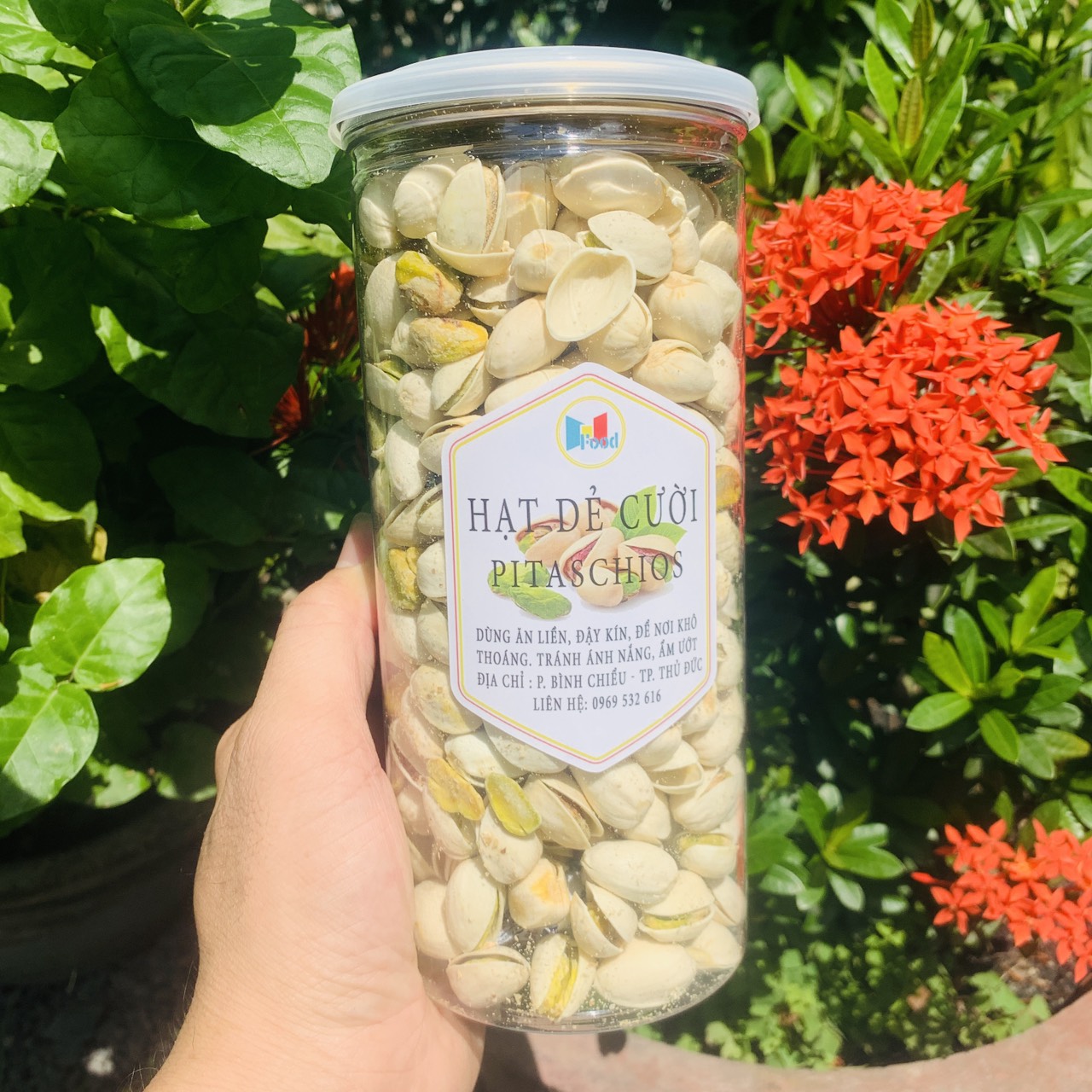 Hạt Dẻ Cười Mỹ Lon 500Gram - loại hạt to