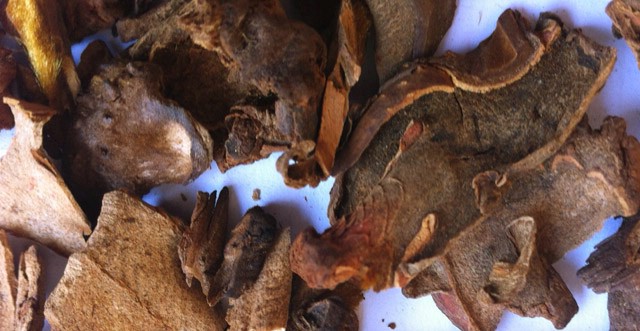 Cẩu tích khô 1kg hàng loại 1 GT193