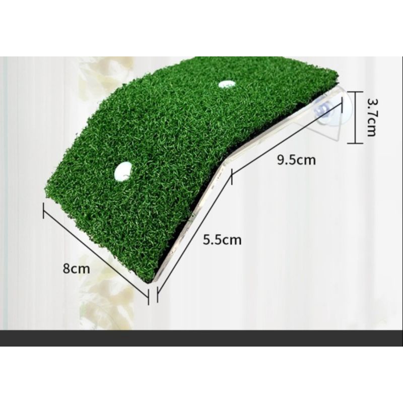 Máng leo cỏ nhân tạo cho rùa nước