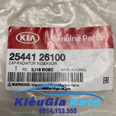 Nắp bình nước phụ Hyundai i20