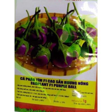 HẠT GIỐNG CÀ PHÁO TÍM F1 - GÓI 1 GRAM