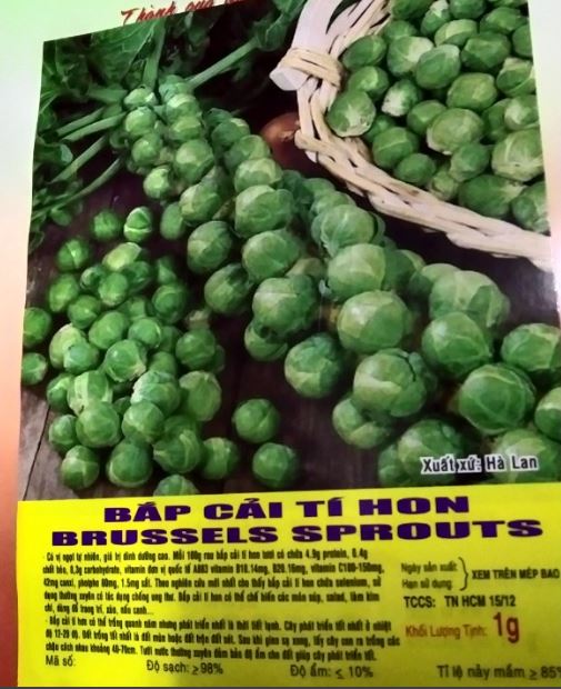 Hạt Bắp Cải Tí Hon - Gói 1 Gram