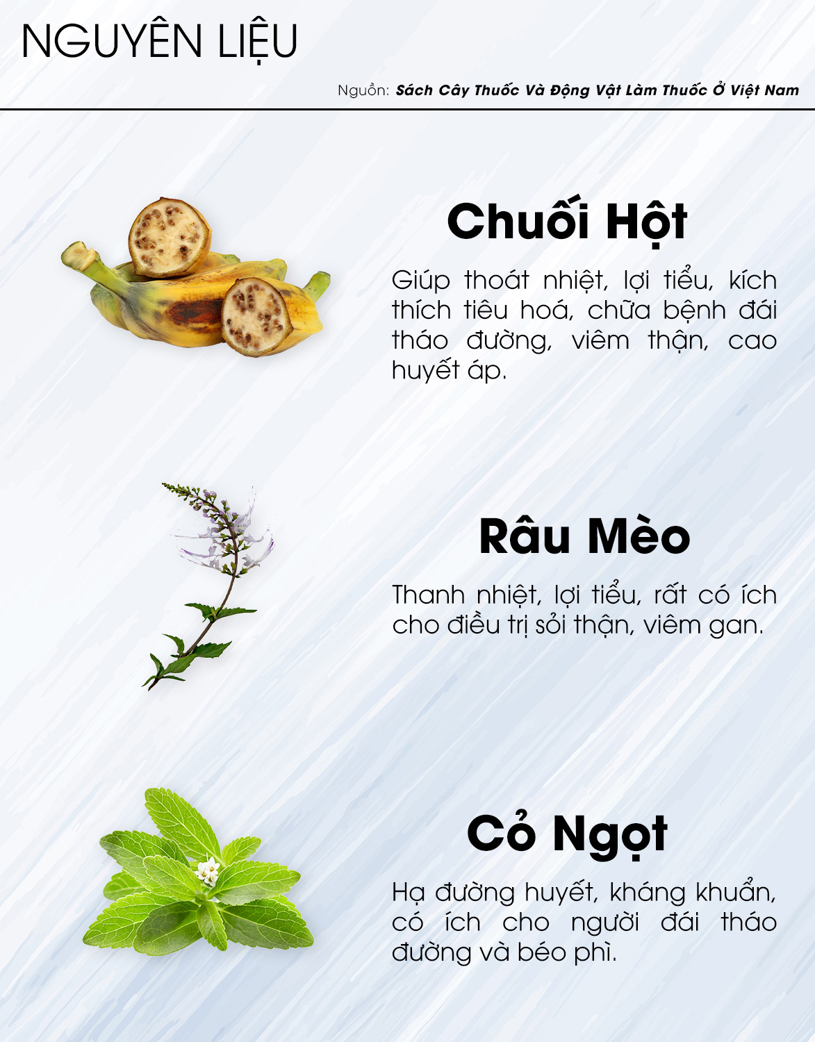 TRÀ CHUỐI HỘT-  Trà Hùng Phát