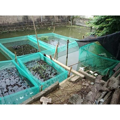 Tráng (vèo) nuôi cá lưới cào xanh lỗ lưới 5ly