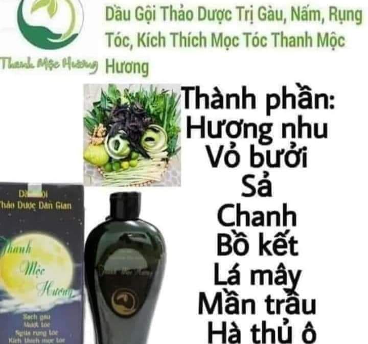 dầu gội đầu thảo dược thanh mộc hương