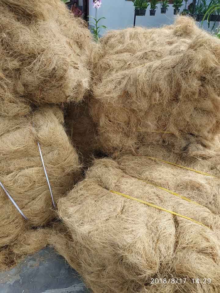 Xơ dừa chỉ trồng hoa lan 1kg