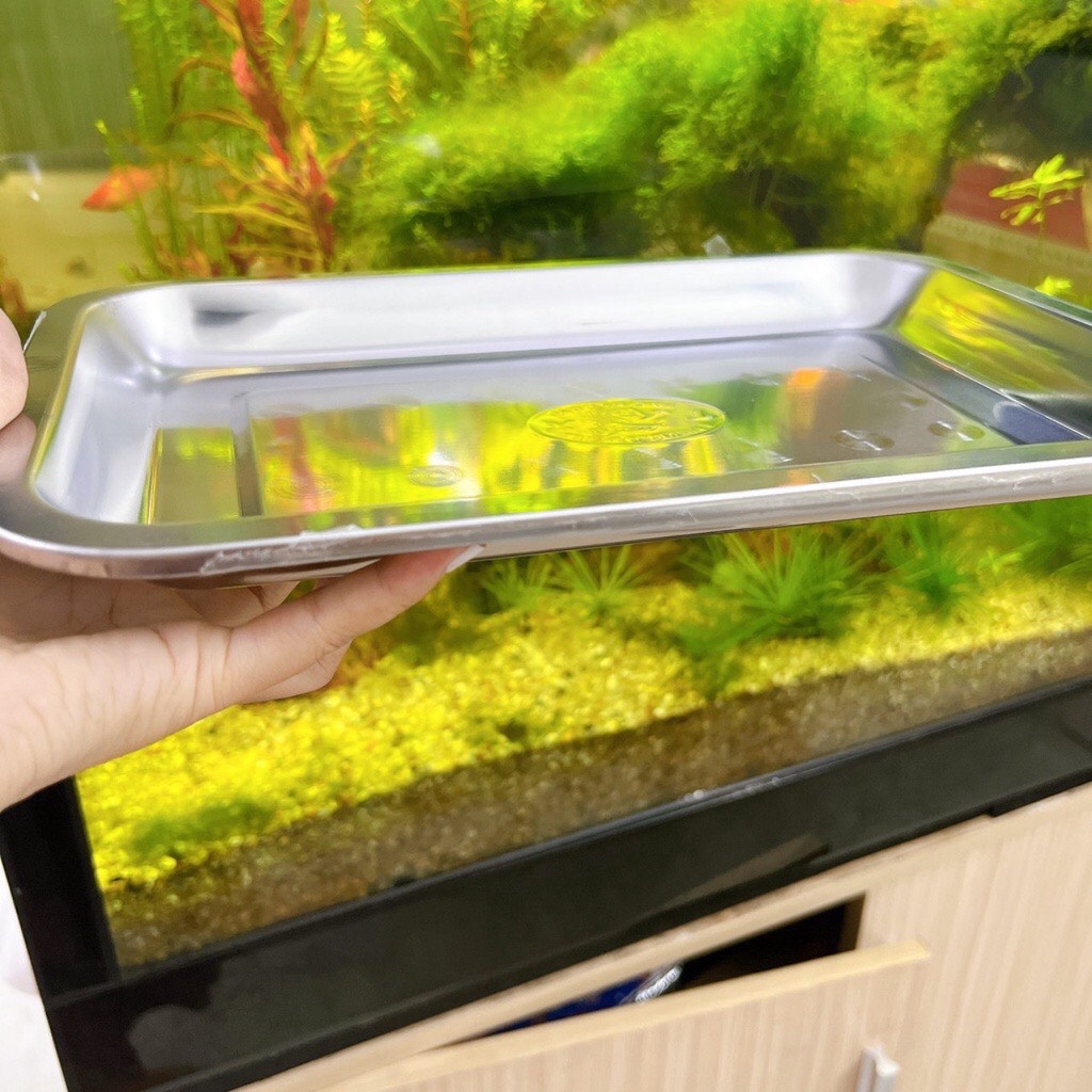 Khay- Mâm inox chữ nhật cạn nhỏ đủ size