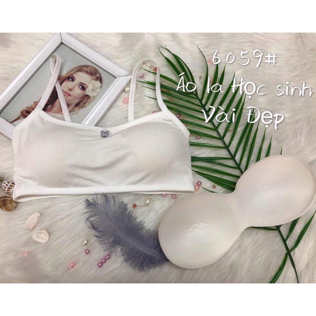 [Hoàn tiền 25%] Áo Bra Thỏ Học Sinh Cotton Đẹp