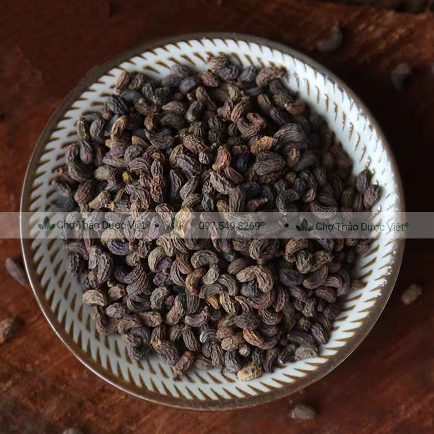 Ngưu bàng tử khô 100g, hạt ngưu bàng, sạch, đẹp, không lẫn tạp chất - Chợ Thảo Dược Việt
