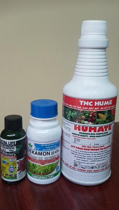 Chiêu kích rễ của thầy tám ngọc