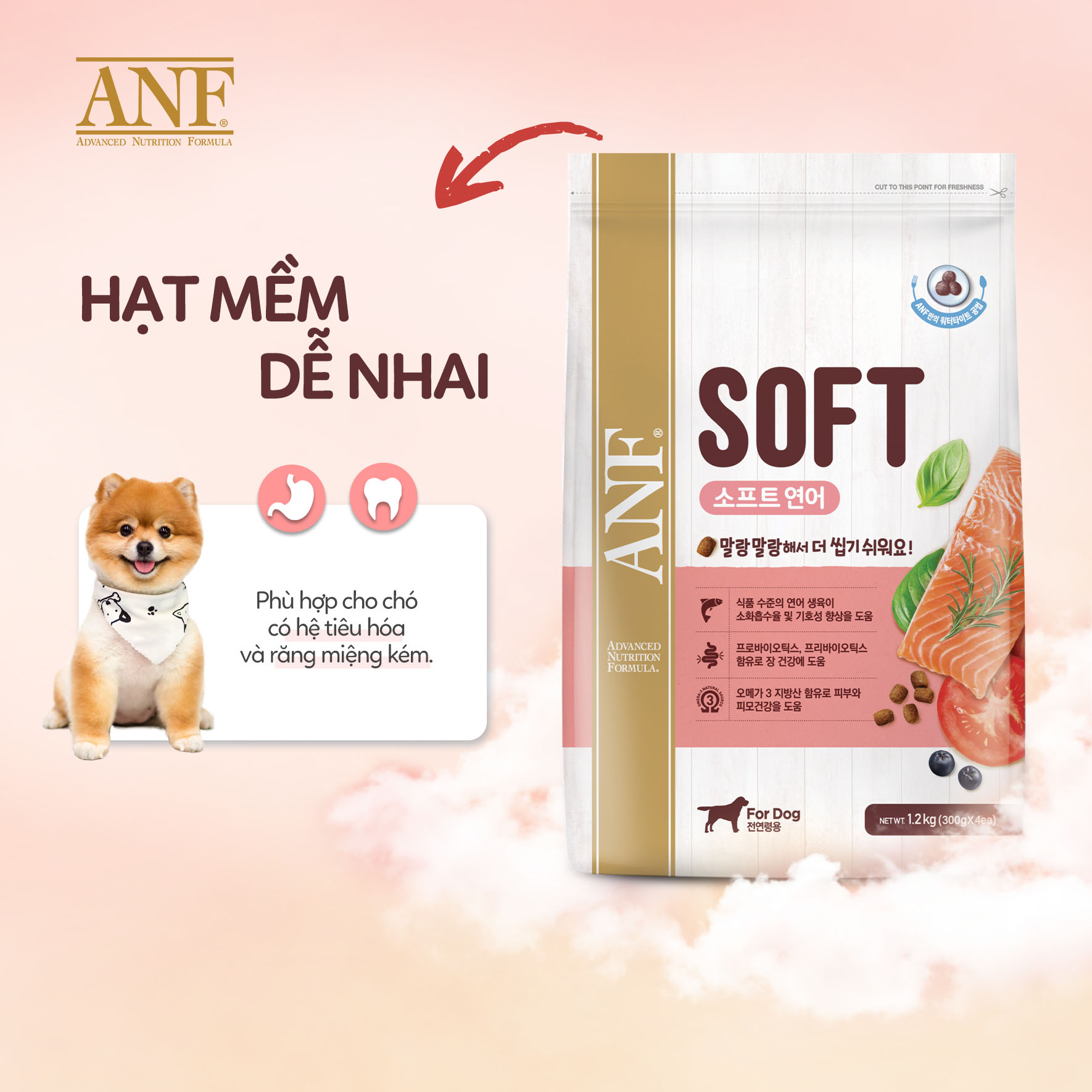 Thức Ăn Hạt Mềm ANF SOFT Cho Chó Mọi Lứa Tuổi Dễ Tuôi Hoá Từ Hàn Quốc - Vị Thịt Gà/Cá Hồi 1.2kg