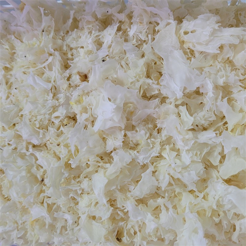 Túi 100gr nấm tuyết vụn trắng