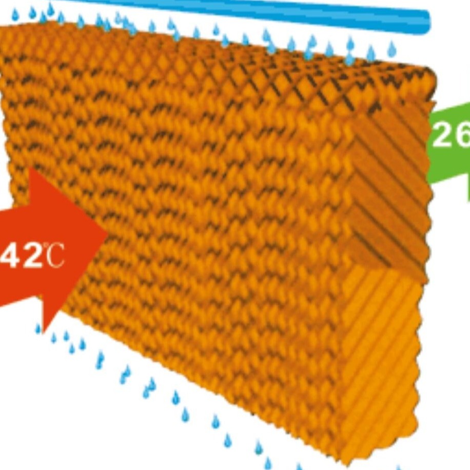 Tấm làm mát cooling pad 60X60 5CM dài rộng day