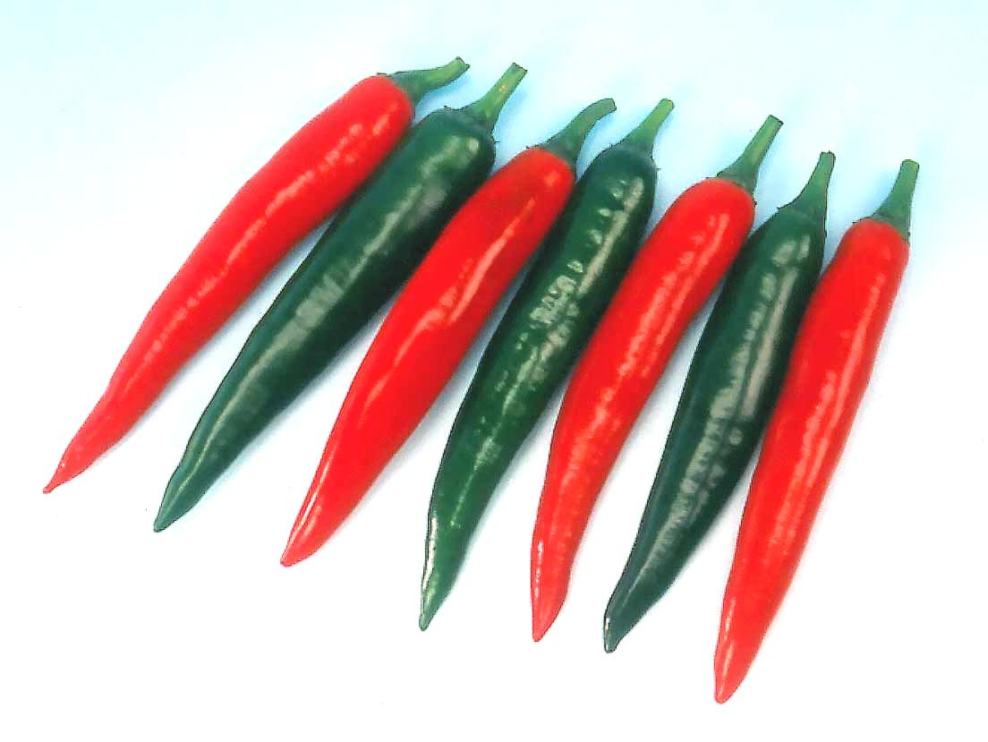 Gói 1 gam hạt giống cây Ớt Cay Chilli